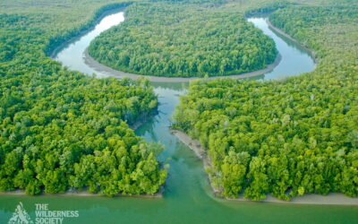 Seed Collector Application