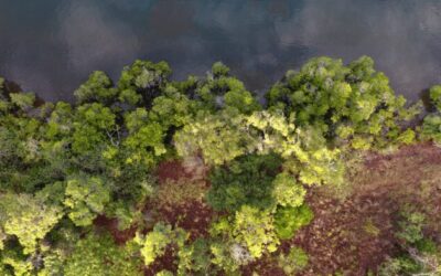 Seed Collection Booklet 2025